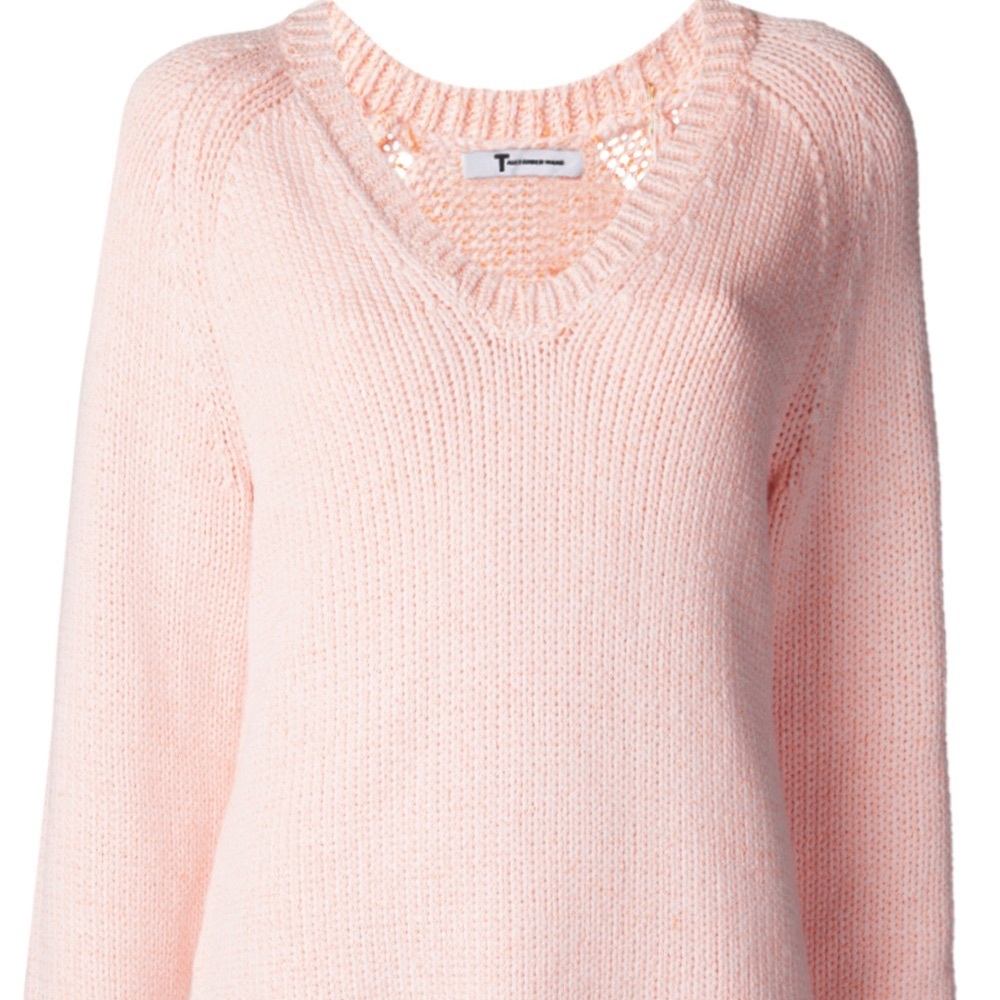 alexander wang sweater